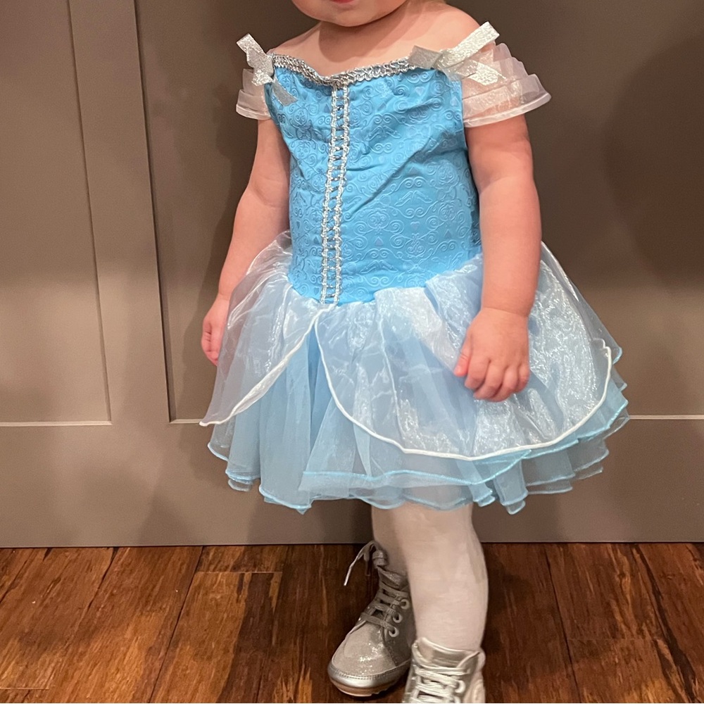 Cinderella 12-18 mon baby costume